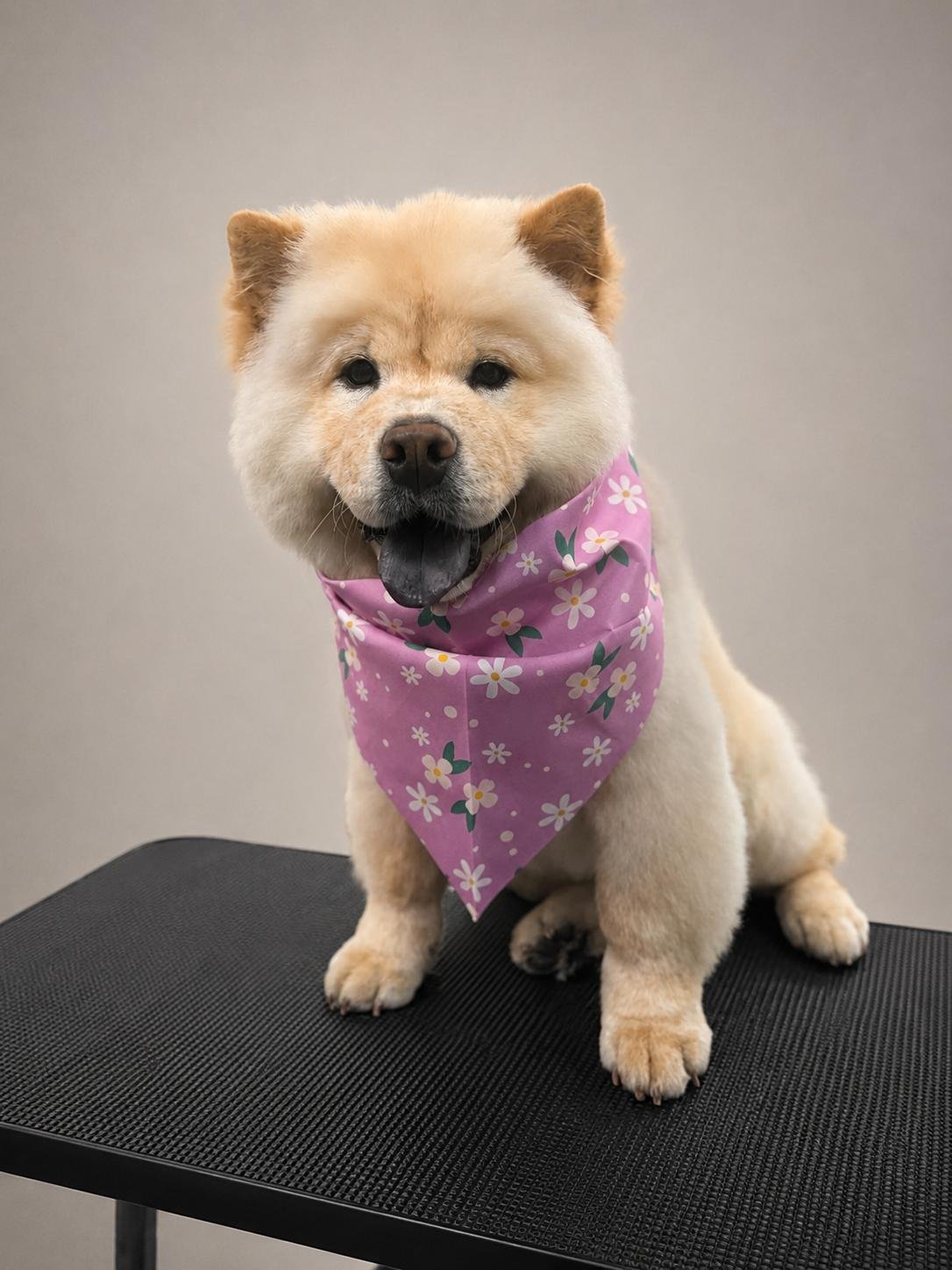 Grooming result